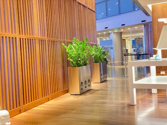 oryx-lounge